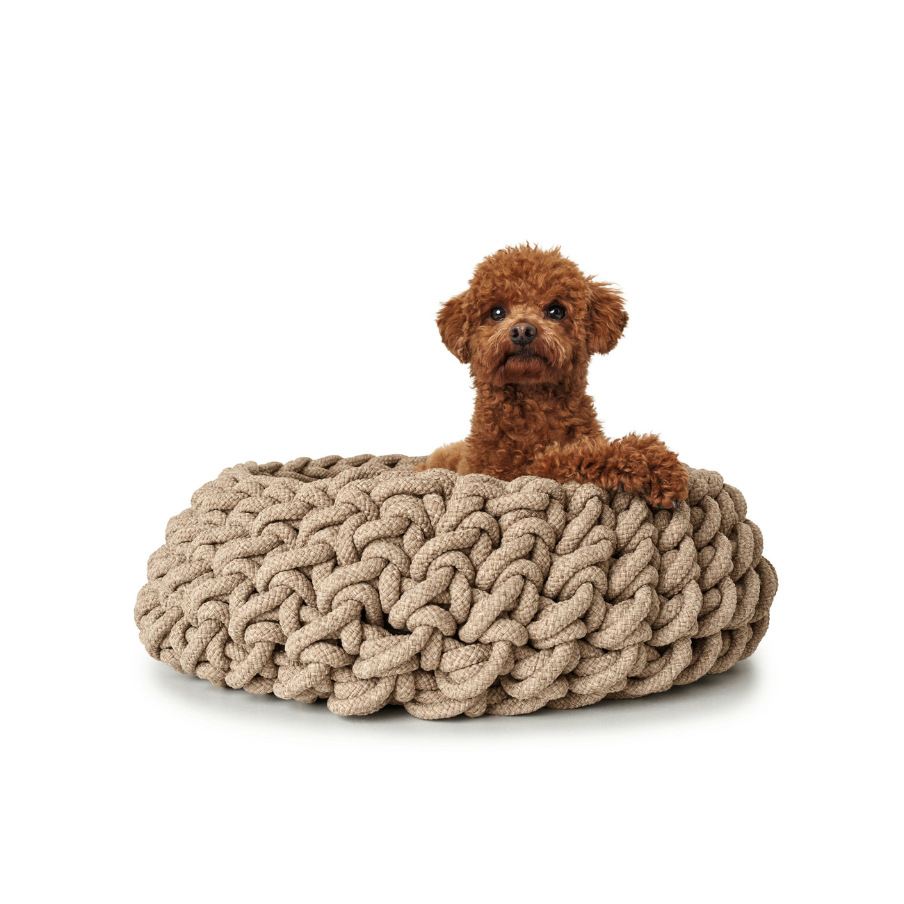 Hunter Hundekorb geflochten Linz Bild 17