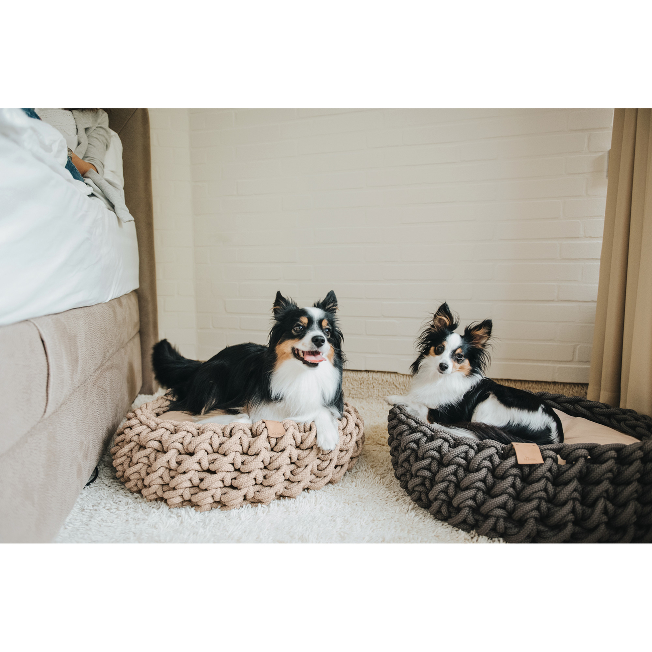 Hunter Hundekorb geflochten Linz Bild 22