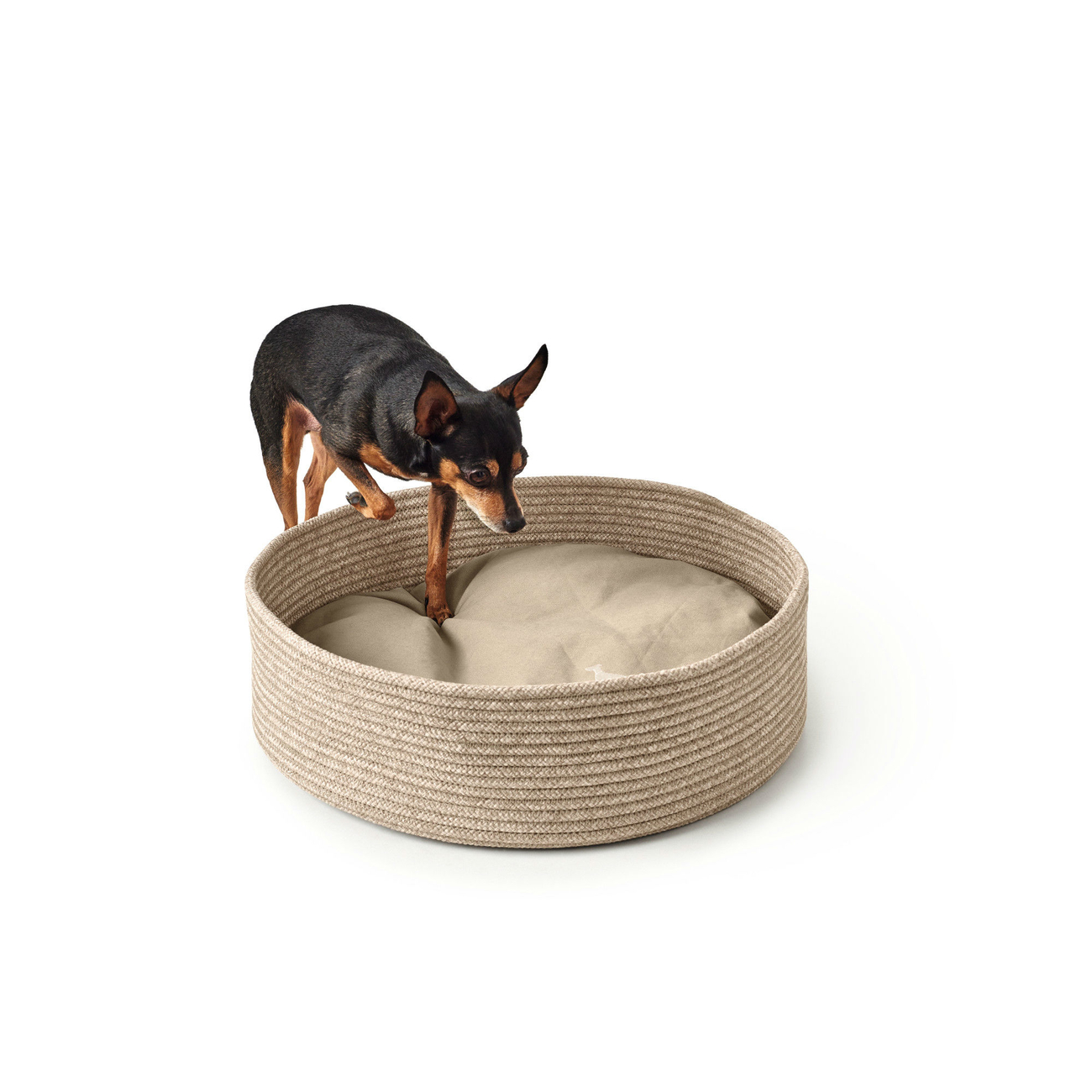 Hundekorb Hundebett Graz Bild 12