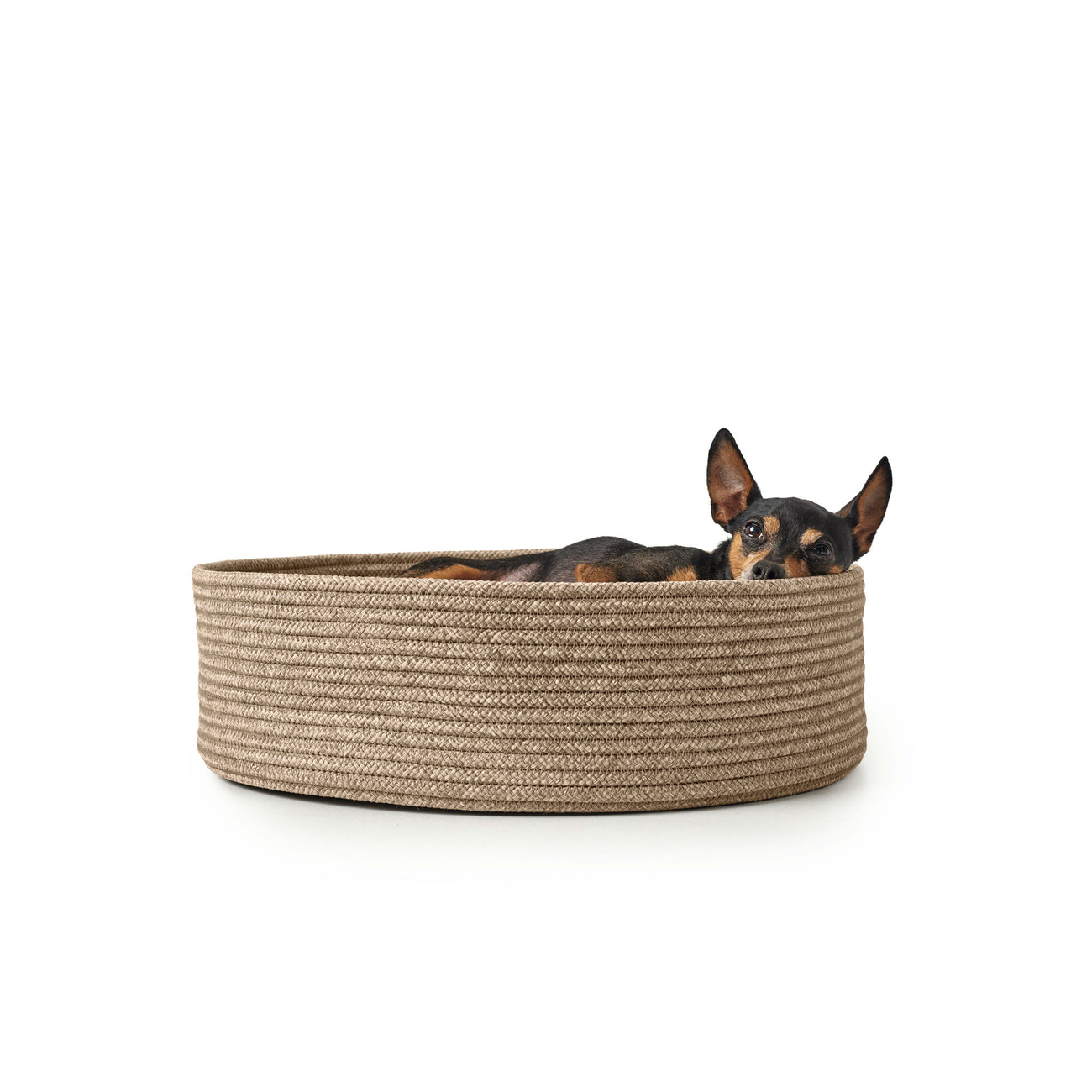 Hundekorb Hundebett Graz Bild 18