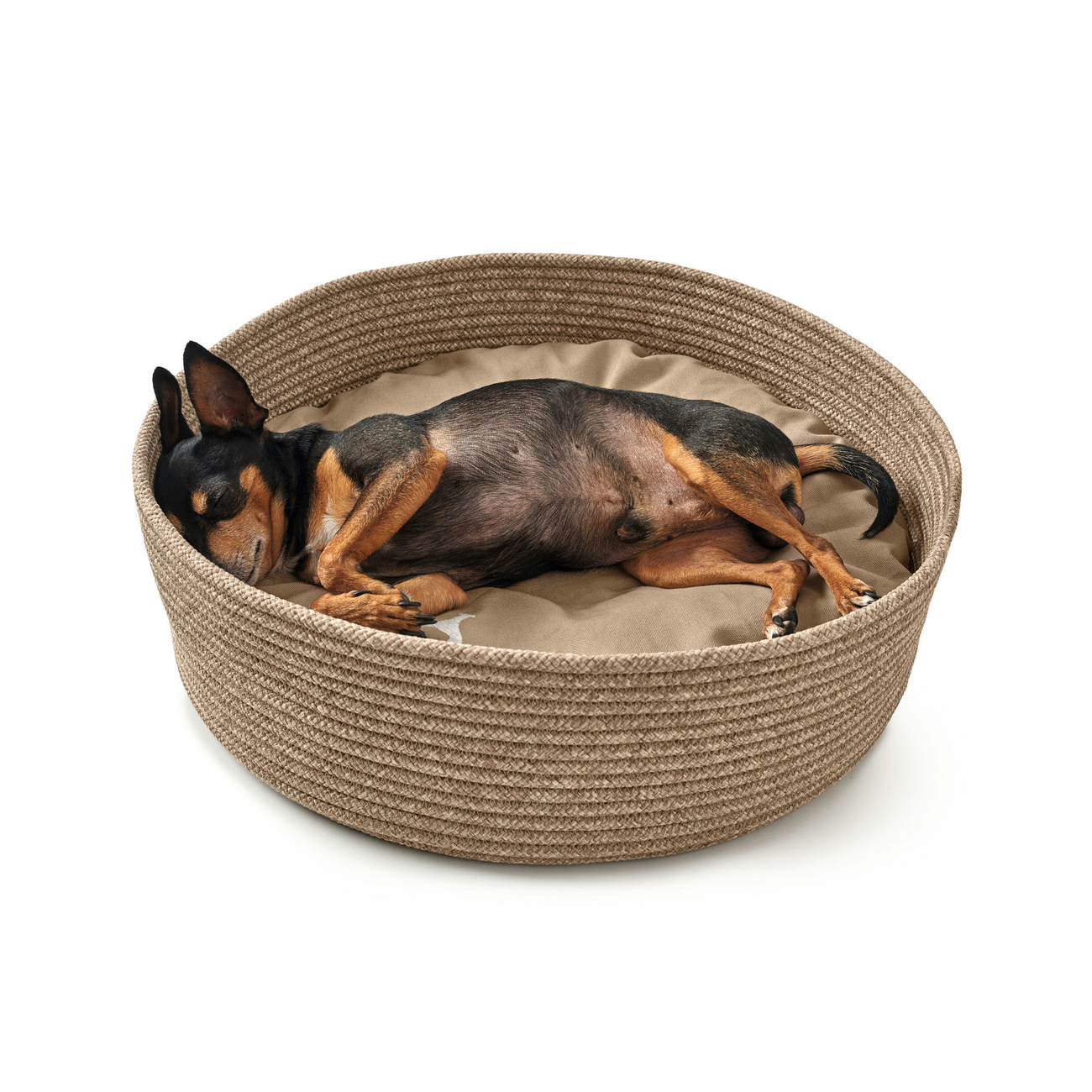 Hundekorb Hundebett Graz Bild 19