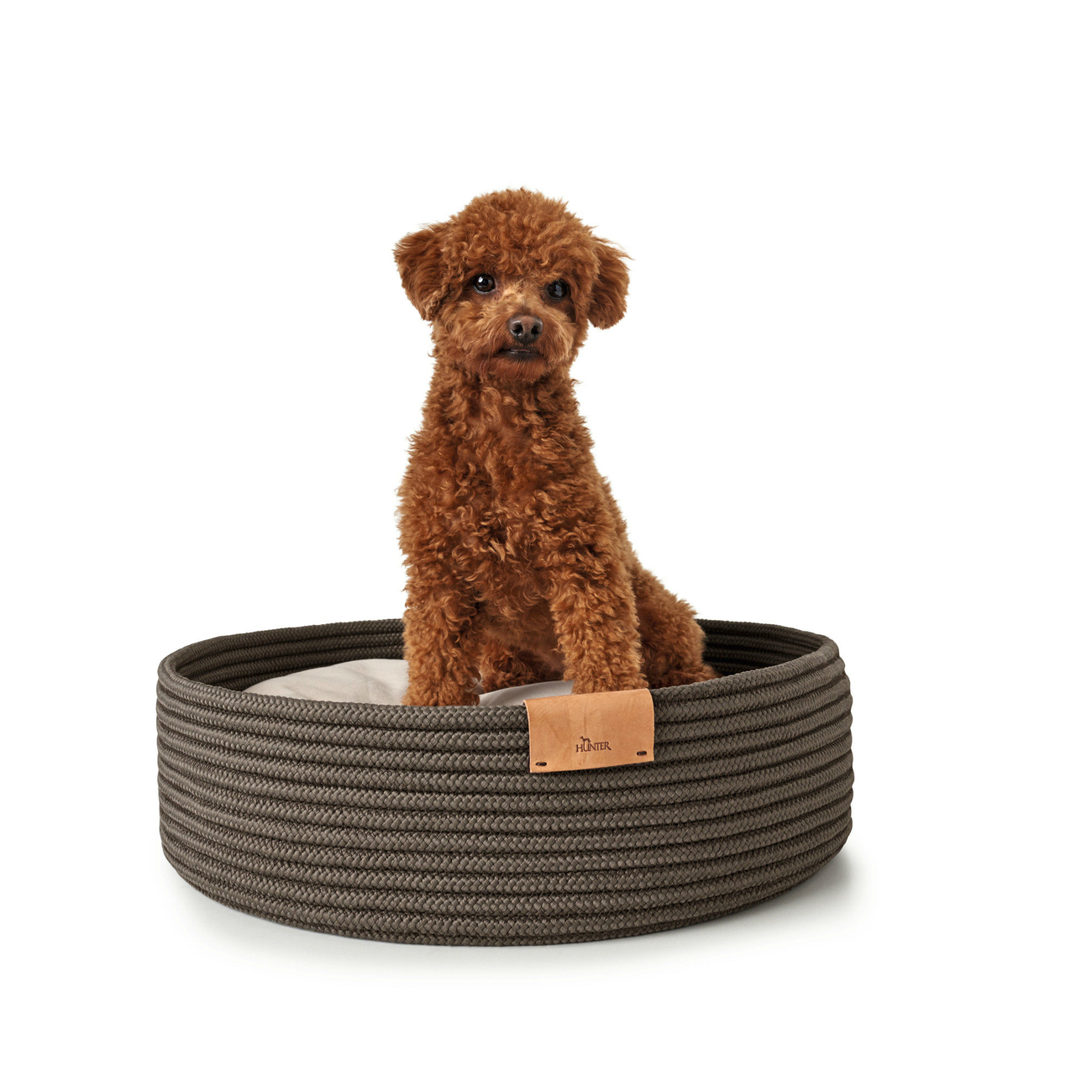 Hundekorb Hundebett Graz Bild 5