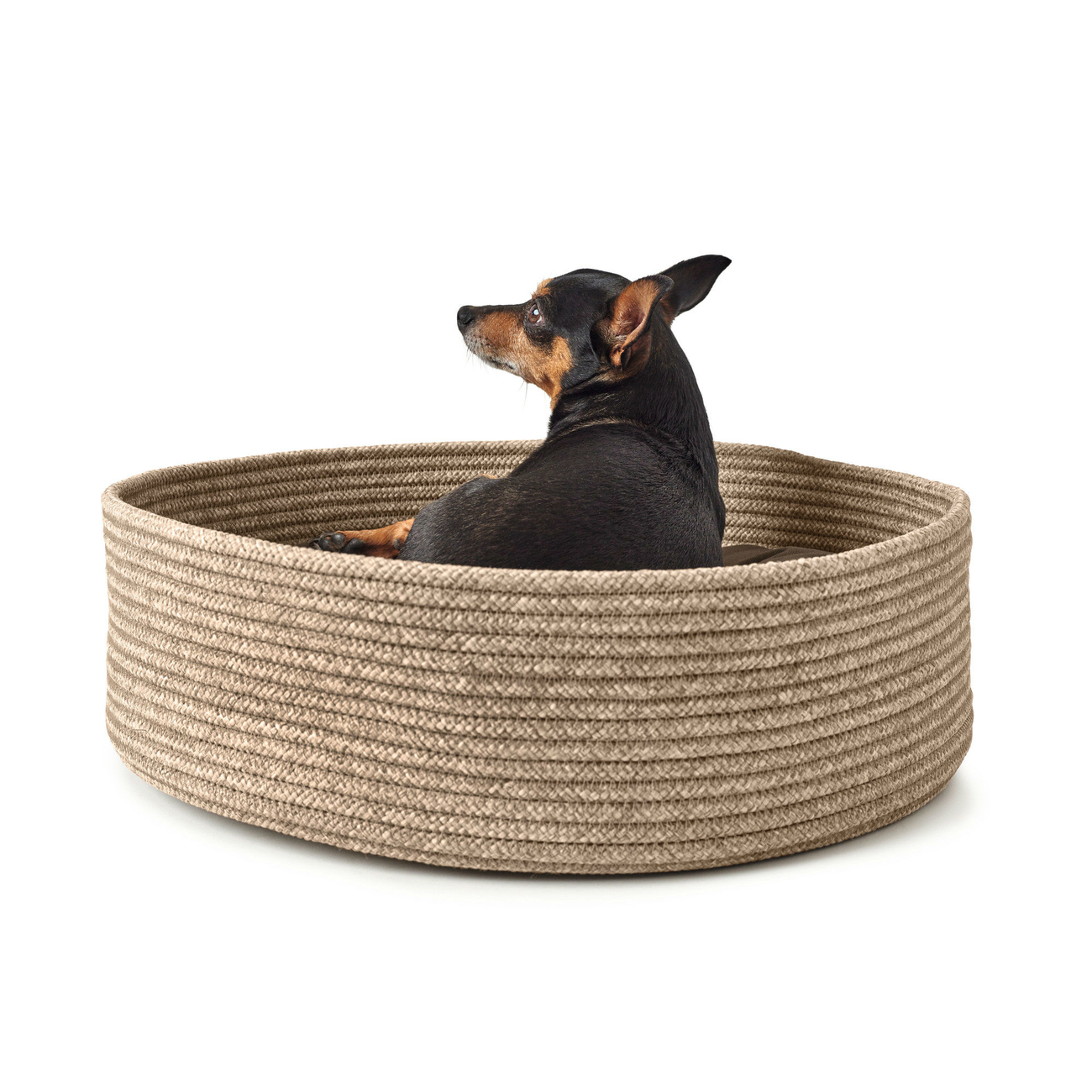 Hundekorb Hundebett Graz Bild 7