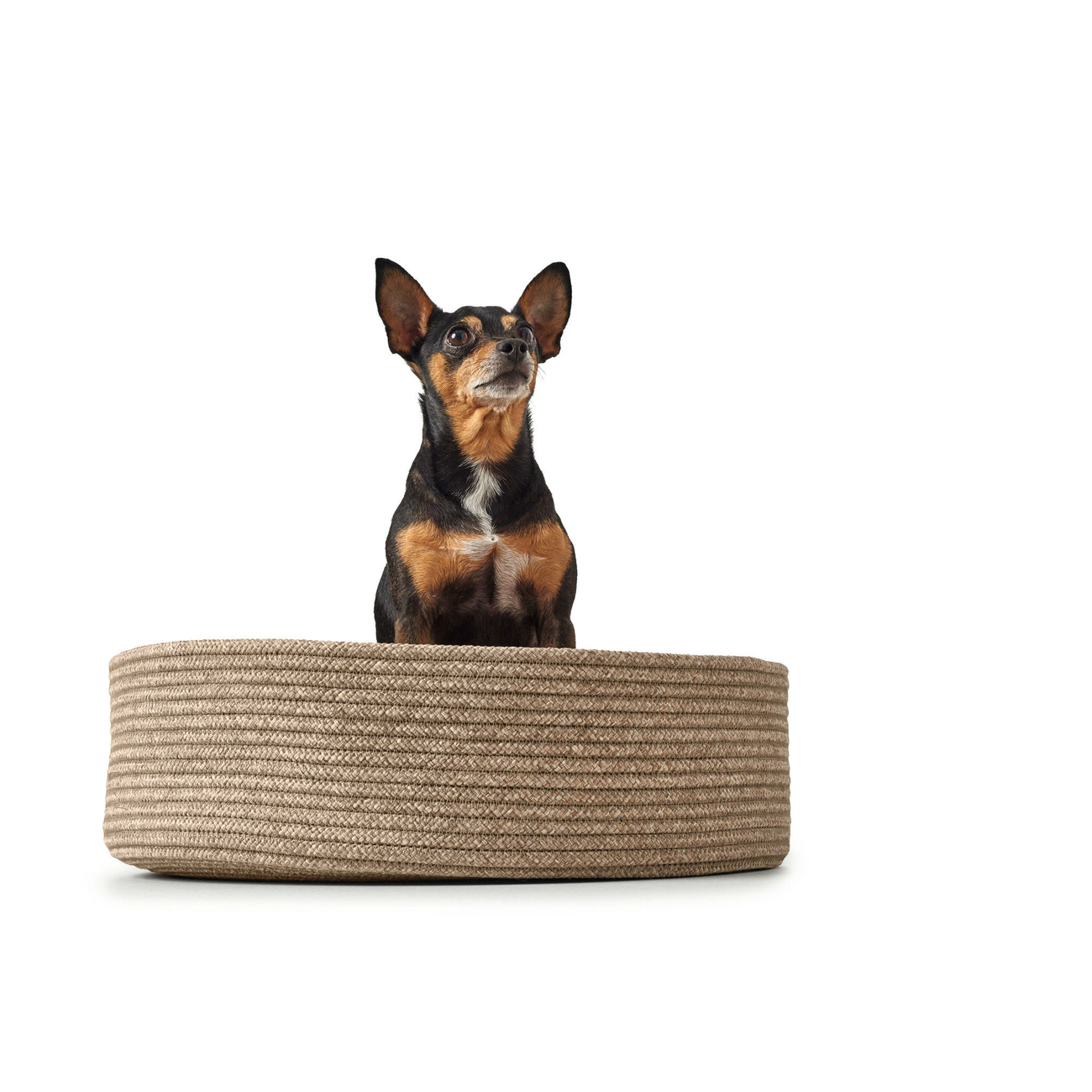 Hundekorb Hundebett Graz Bild 11