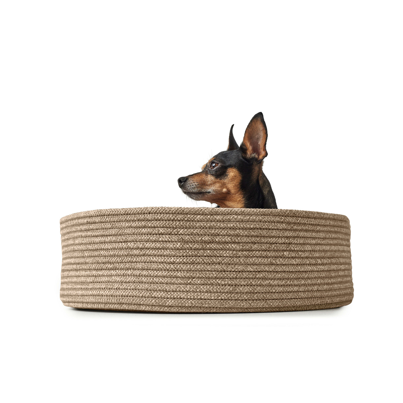 Hundekorb Hundebett Graz Bild 8
