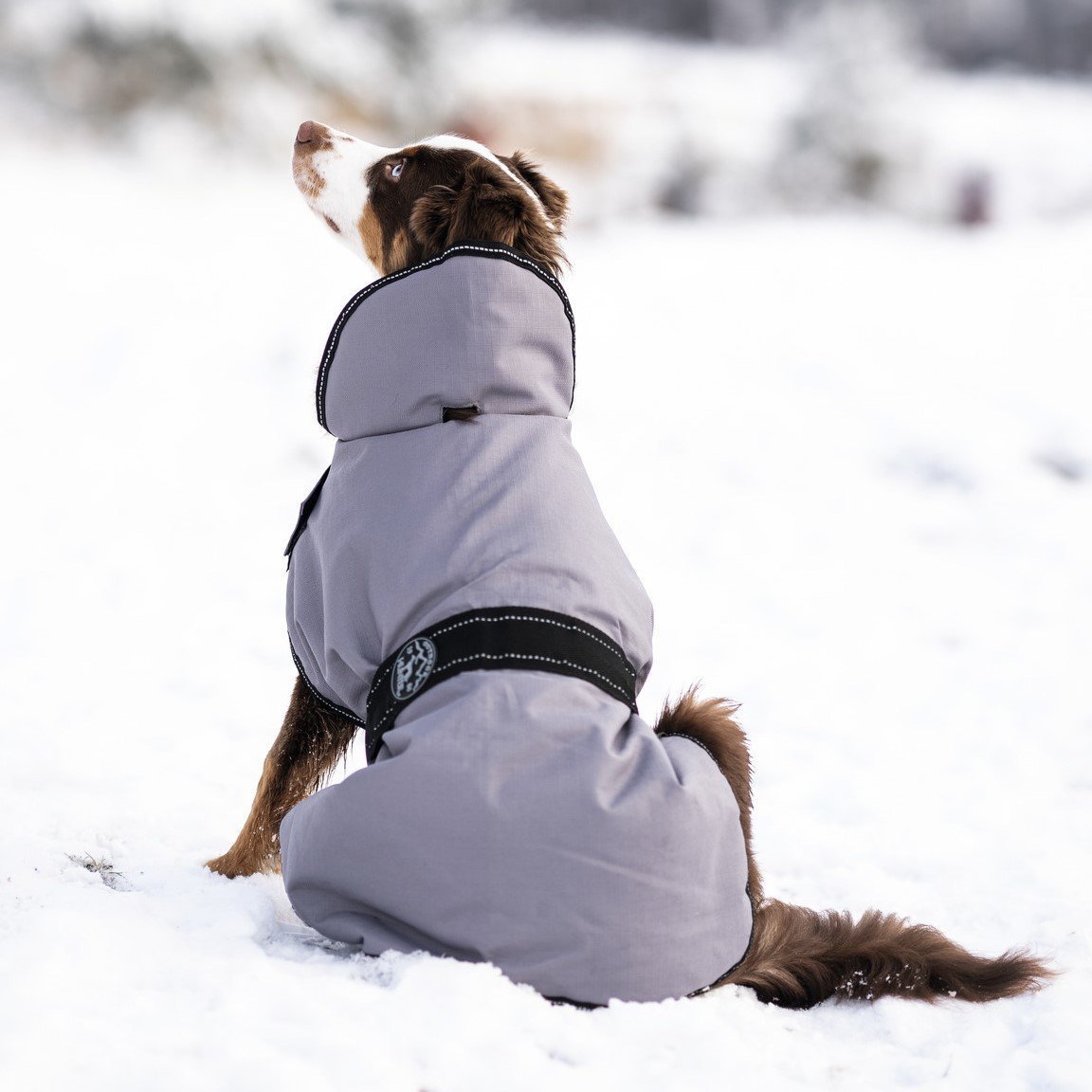 HUNTER Hundemantel Denali Bild 2