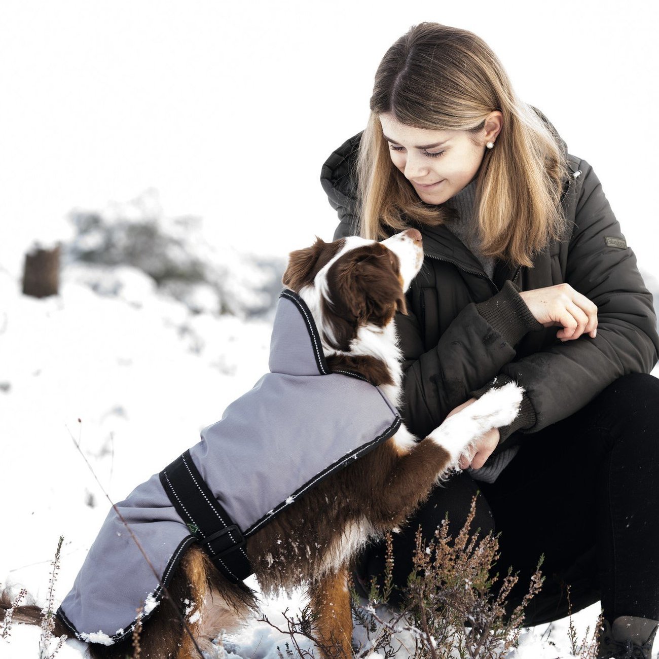 HUNTER Hundemantel Denali Bild 3