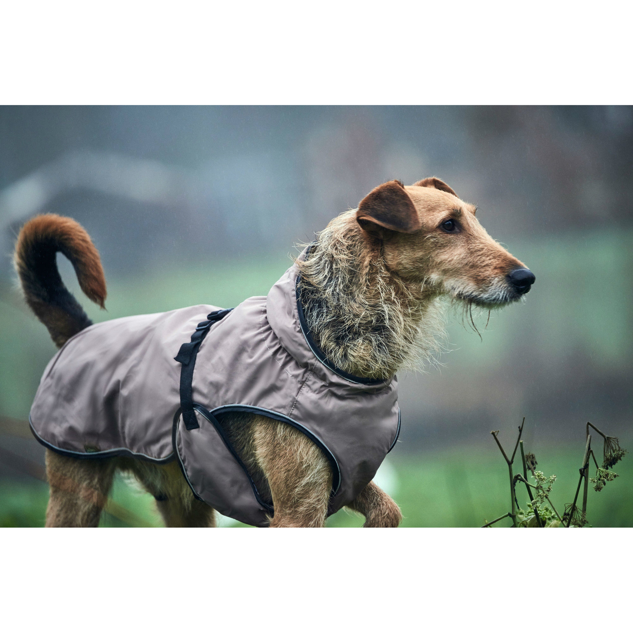 HUNTER Hundemantel Uppsala Bild 4