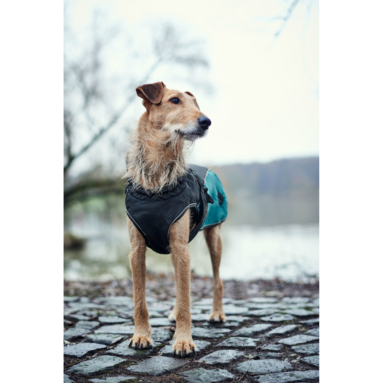 Hunter Hundemantel Uppsala Allrounder Bild 4