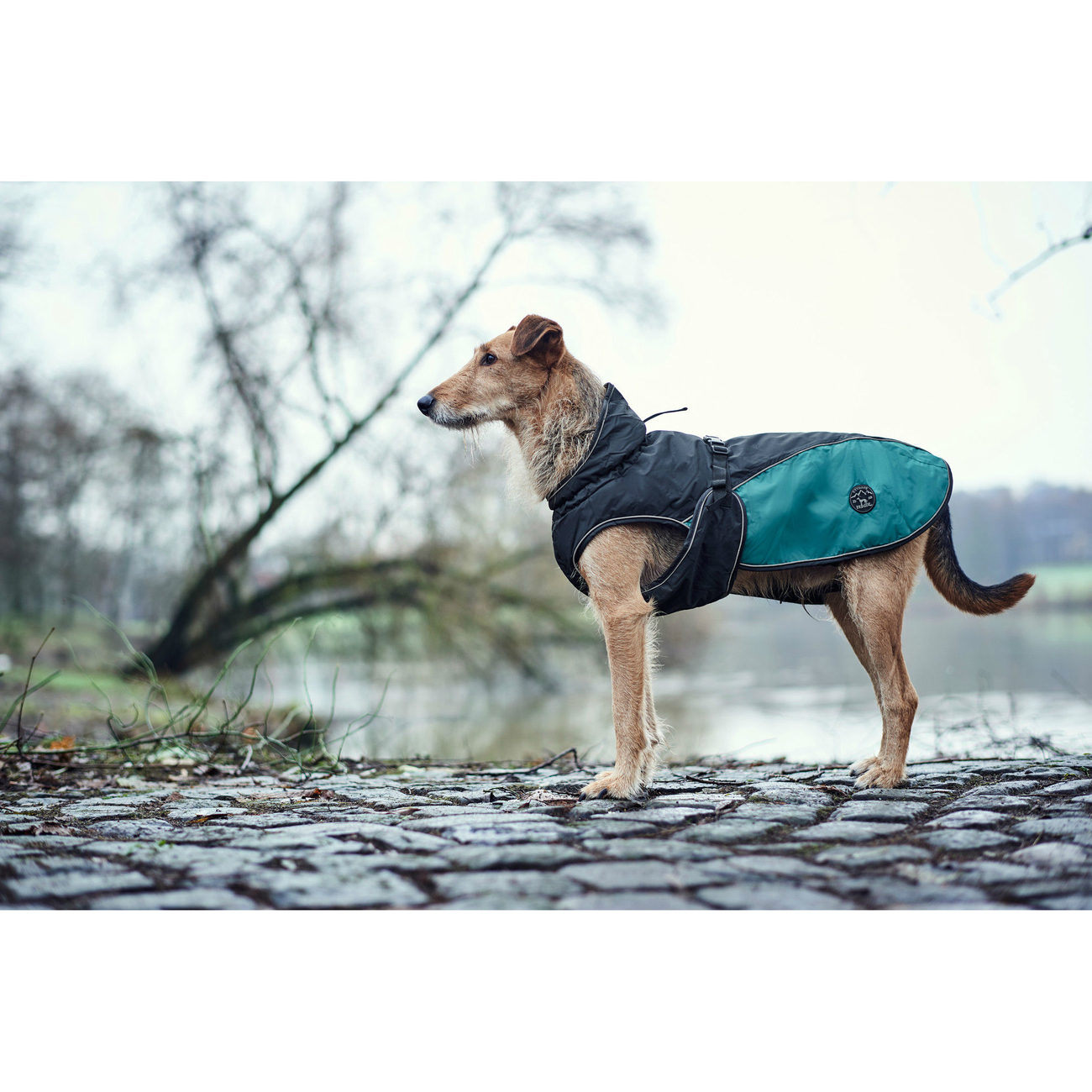 Hunter Hundemantel Uppsala Allrounder Bild 3