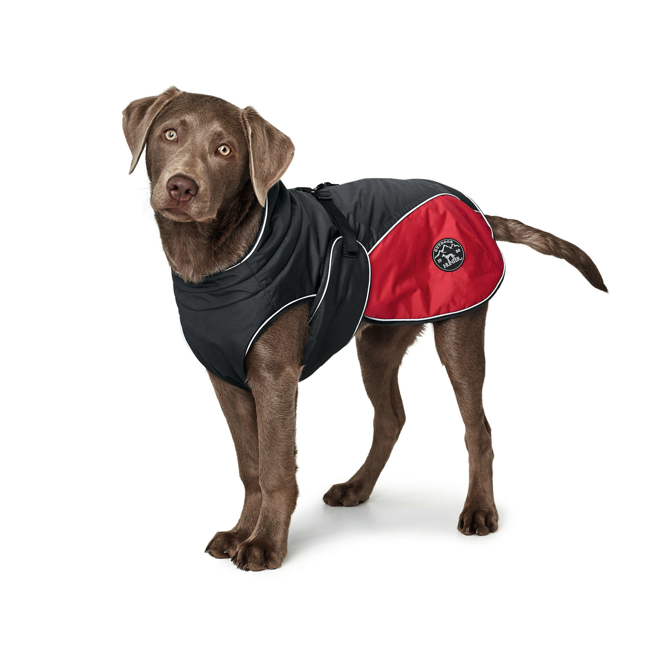 Hunter Hundemantel Uppsala Cozy Bild 7