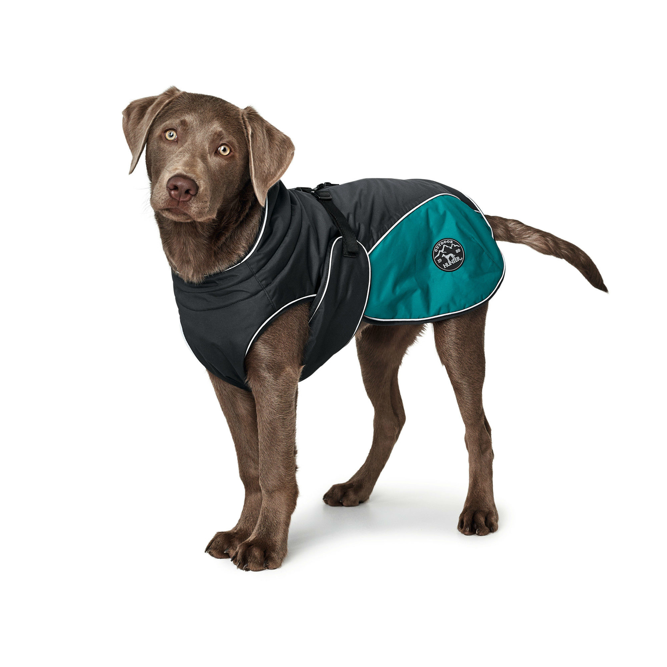 Hunter Hundemantel Uppsala Cozy Bild 8