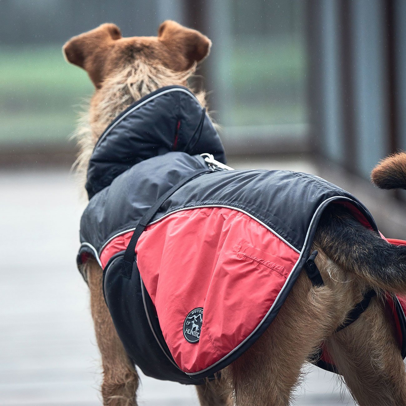 Hunter Hundemantel Uppsala Cozy Bild 2