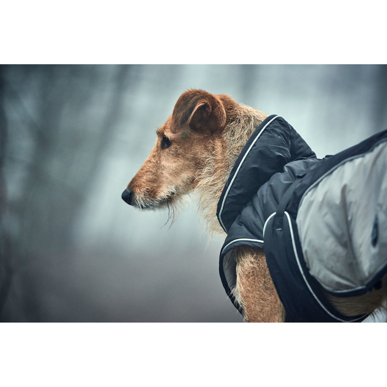 Hunter Hundemantel Uppsala Extreme Bild 7