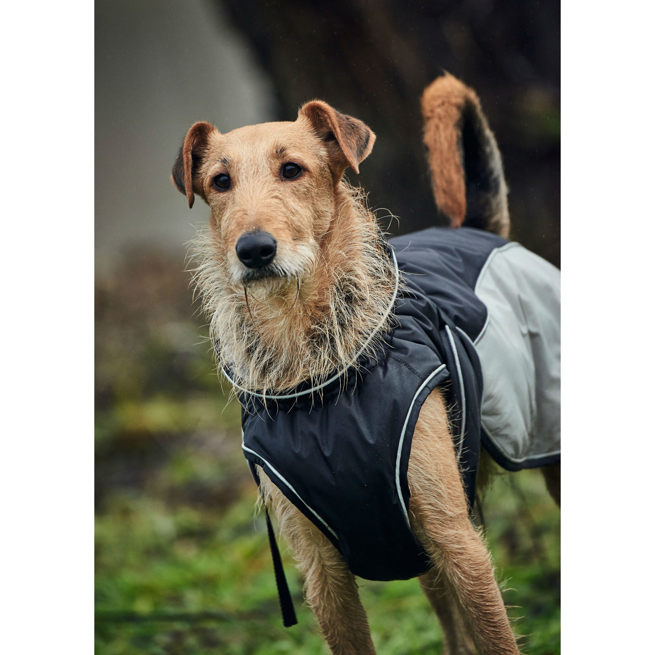 Hunter Hundemantel Uppsala Extreme Bild 8