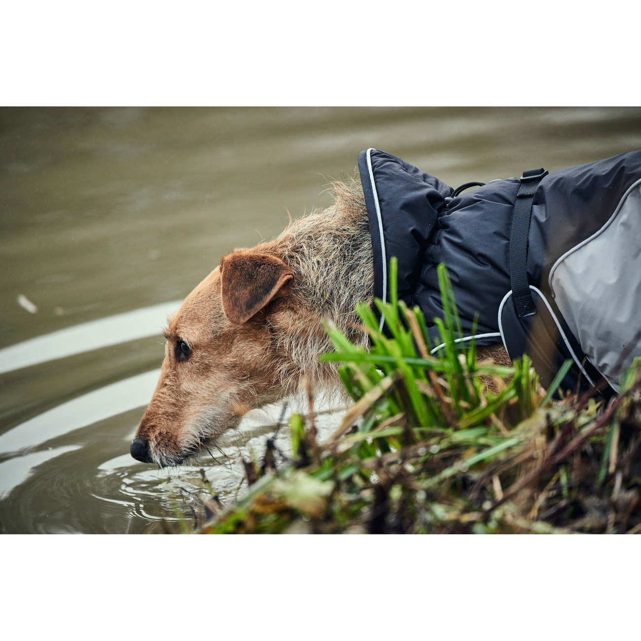 Hunter Hundemantel Uppsala Extreme Bild 9