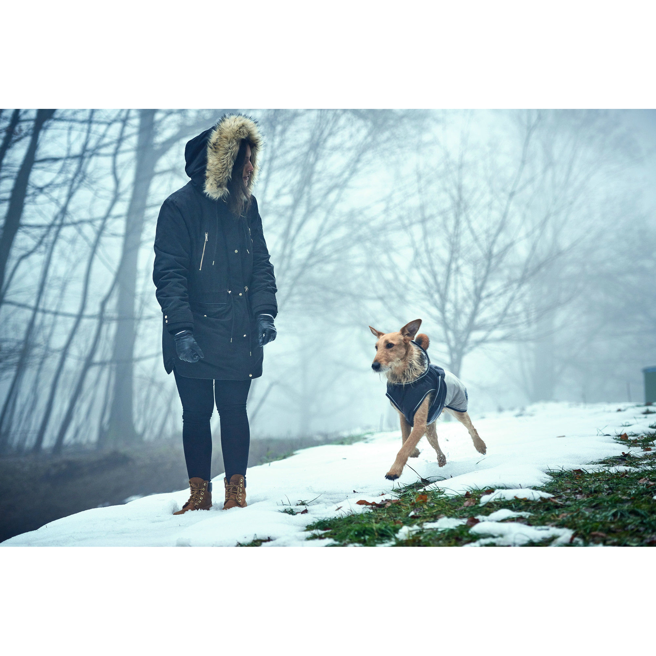 Hunter Hundemantel Uppsala Extreme Bild 10