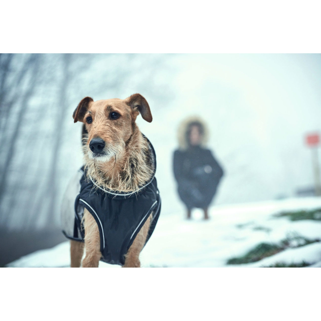 Hunter Hundemantel Uppsala Extreme Bild 11