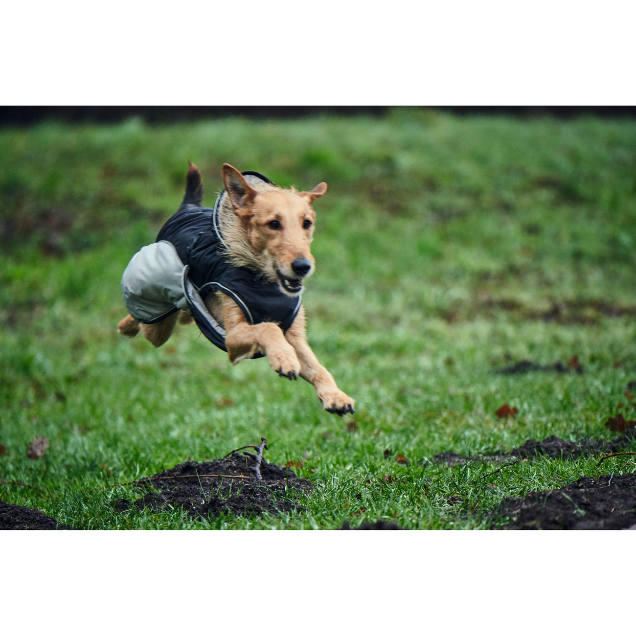 Hunter Hundemantel Uppsala Extreme Bild 12