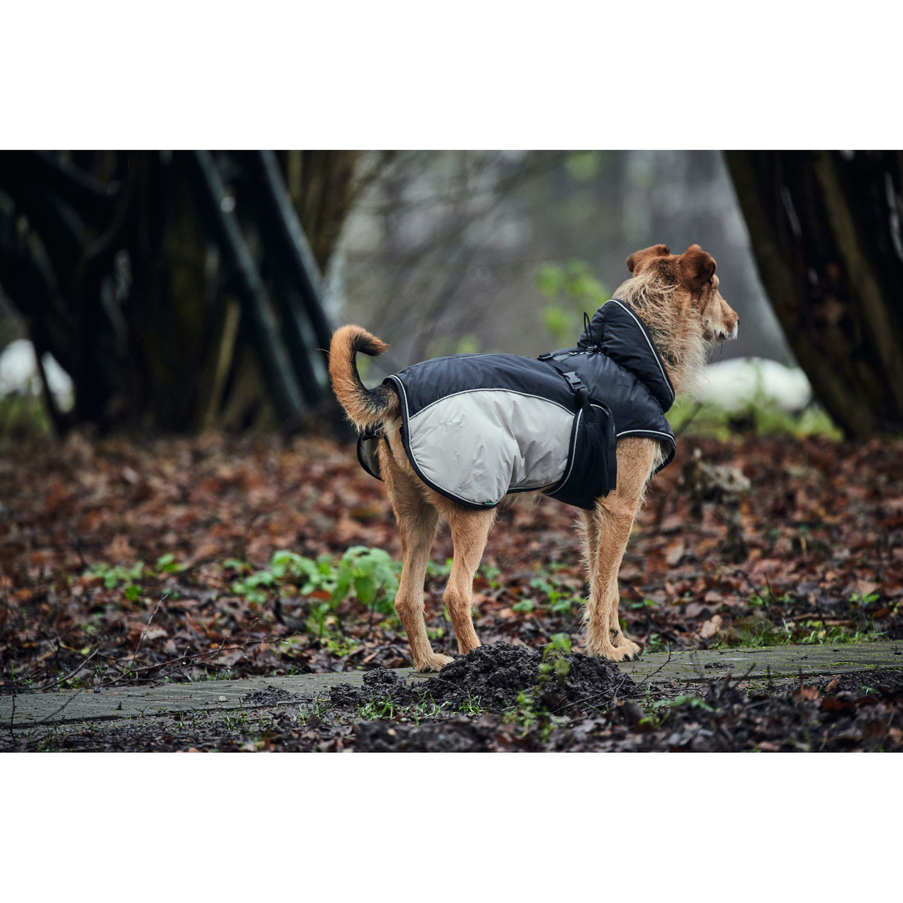 Hunter Hundemantel Uppsala Extreme Bild 13