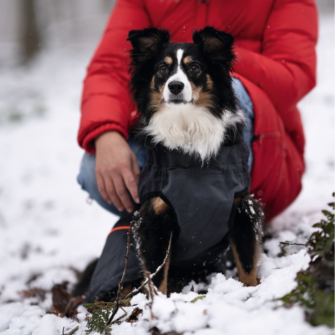 Hunter Hundemantel Uppsala Thermo Bild 4