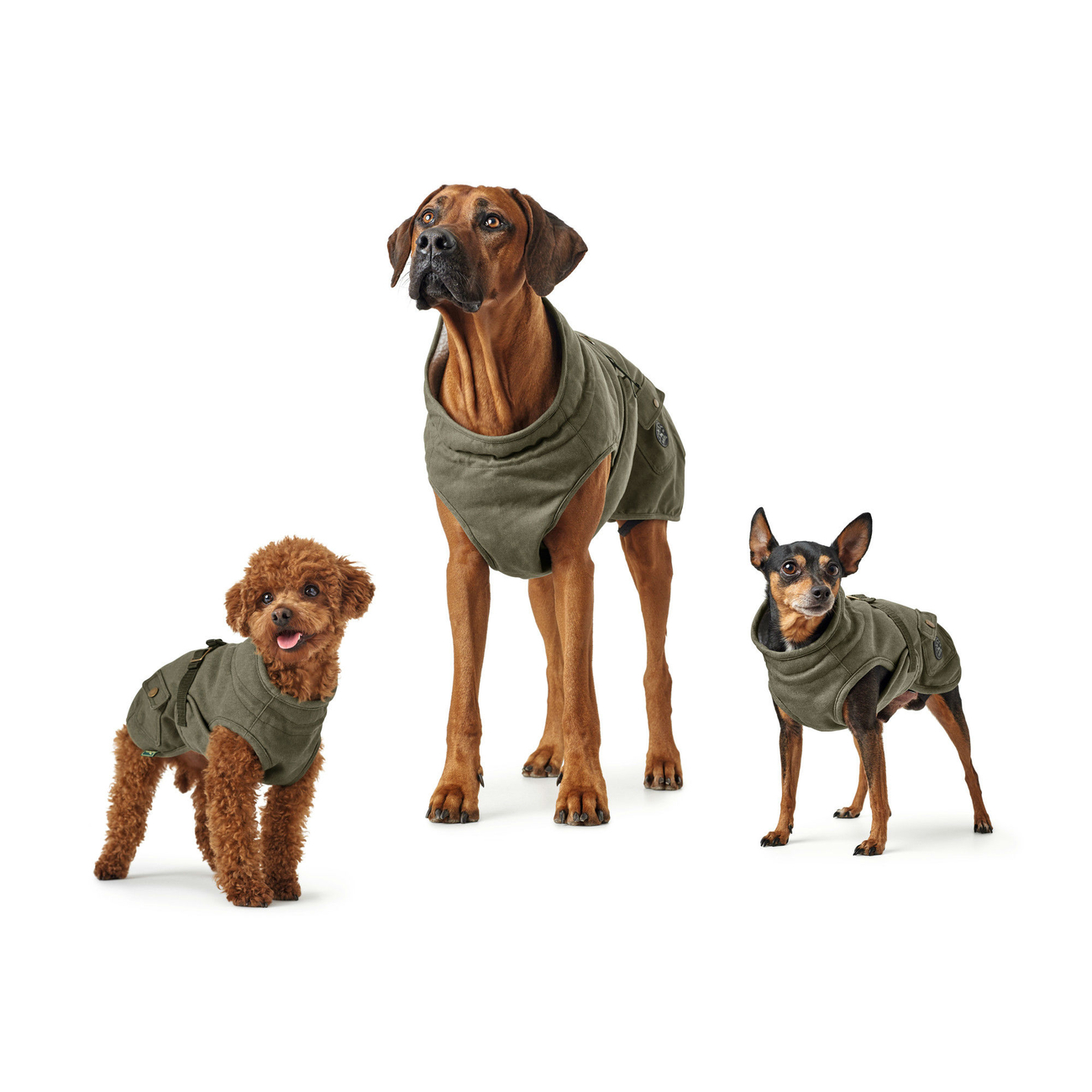 Hunter Hundemantel Uppsala Trend Bild 12