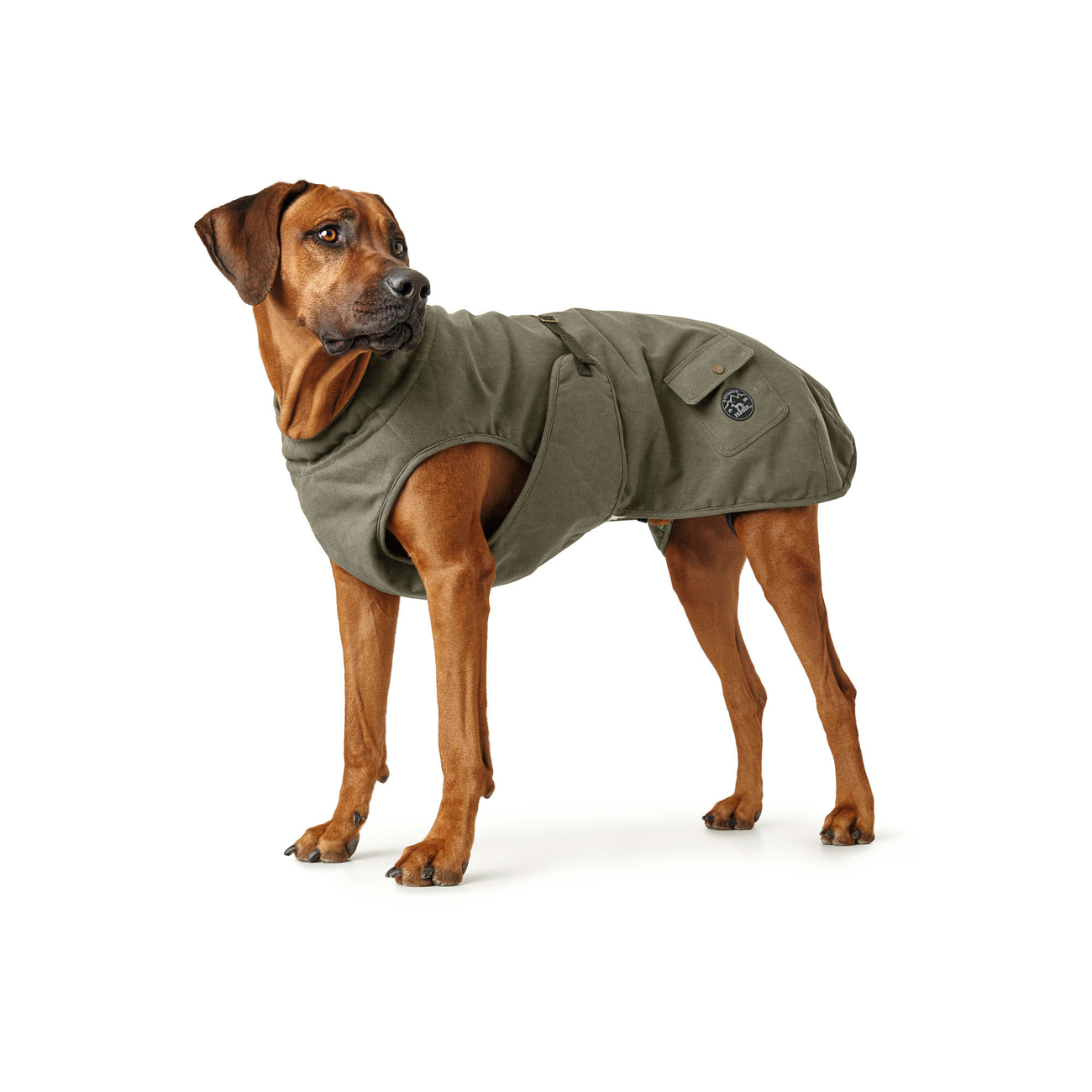 Hunter Hundemantel Uppsala Trend Bild 4