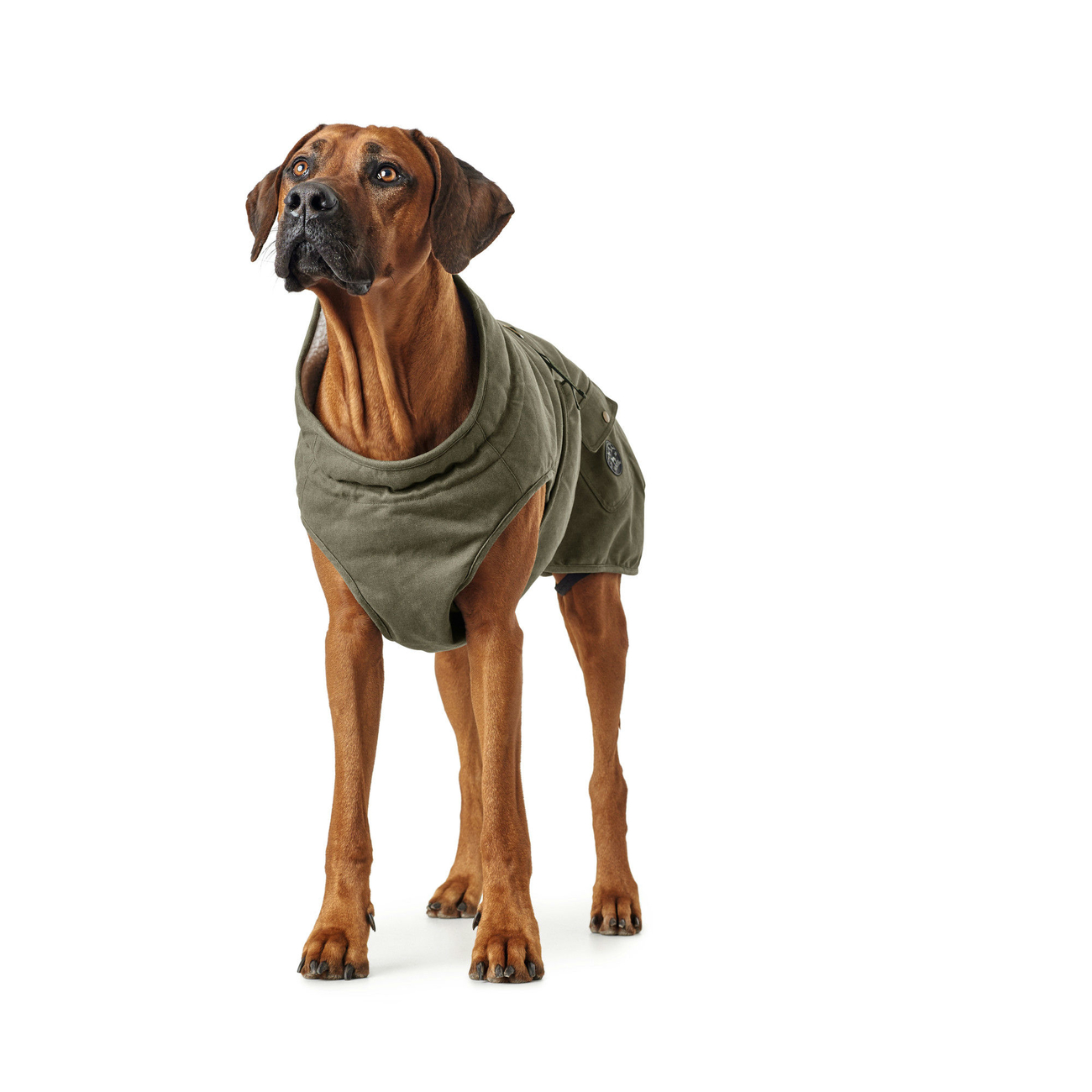 Hunter Hundemantel Uppsala Trend Bild 13