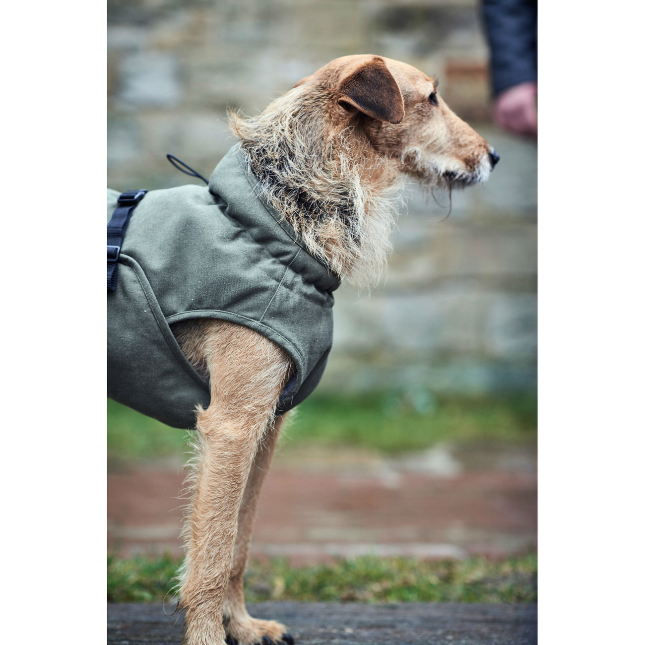 Hunter Hundemantel Uppsala Trend Bild 14