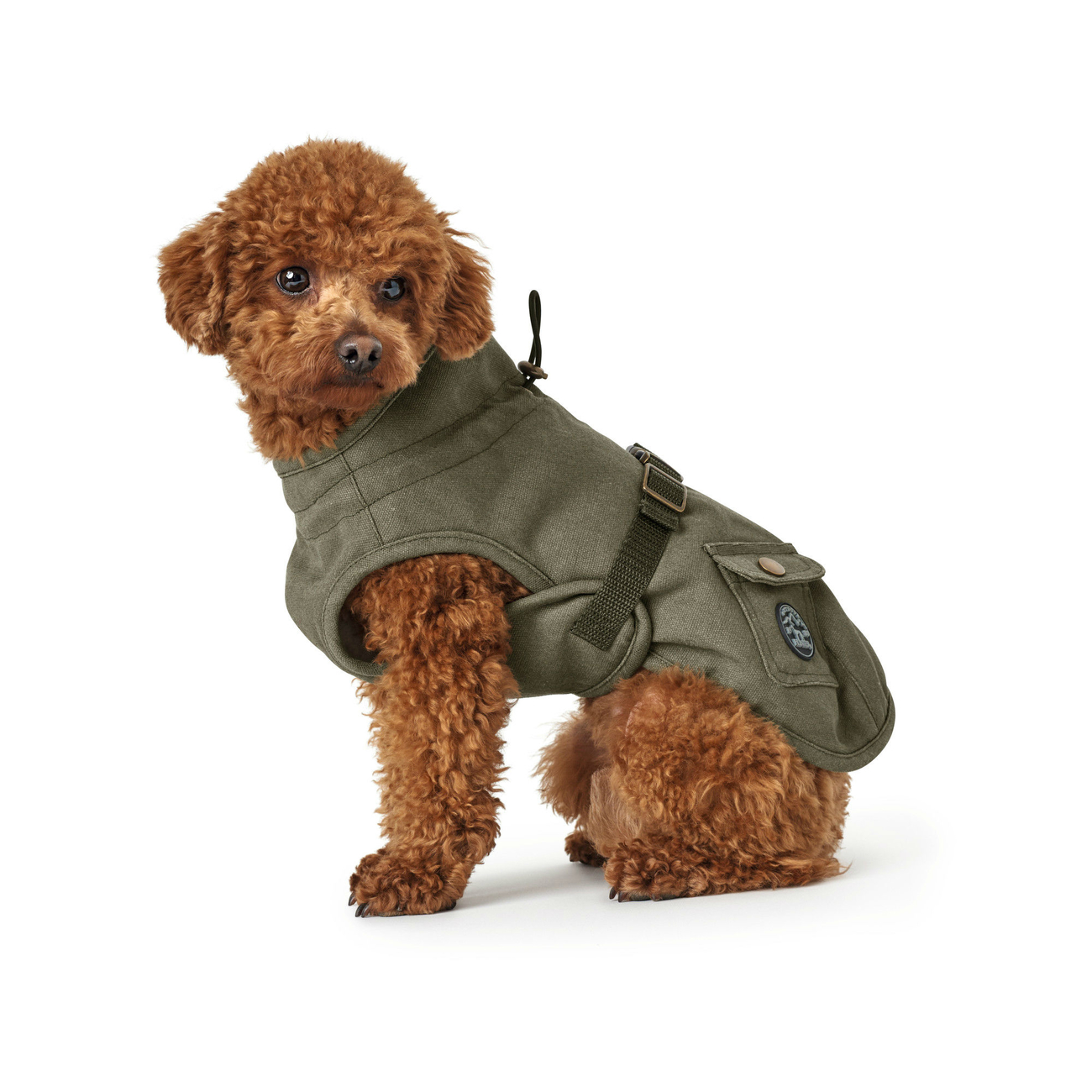 Hunter Hundemantel Uppsala Trend Bild 16