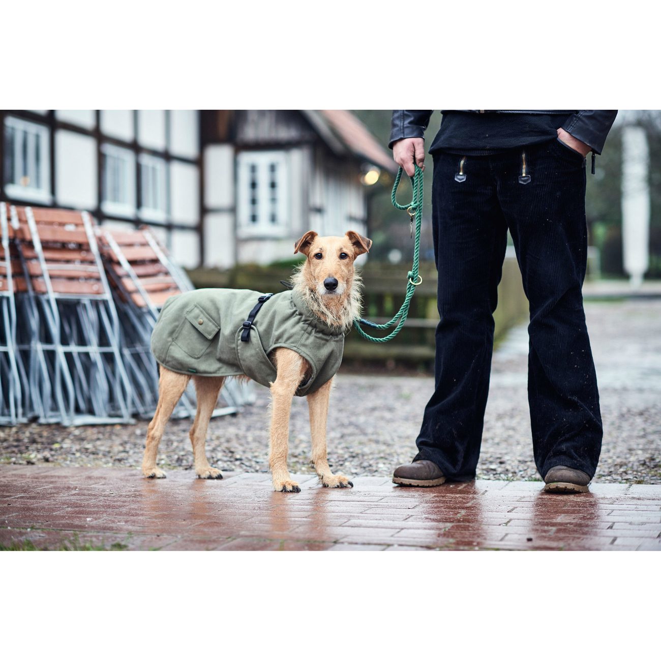 Hunter Hundemantel Uppsala Trend Bild 2