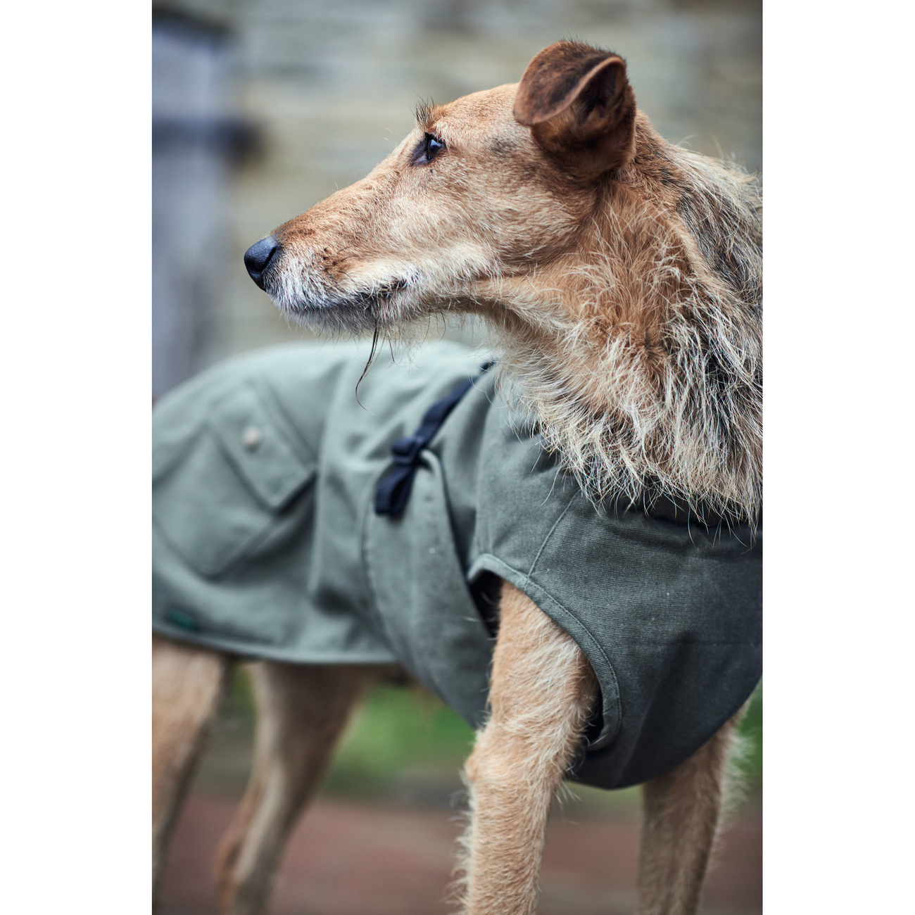 Hunter Hundemantel Uppsala Trend Bild 18