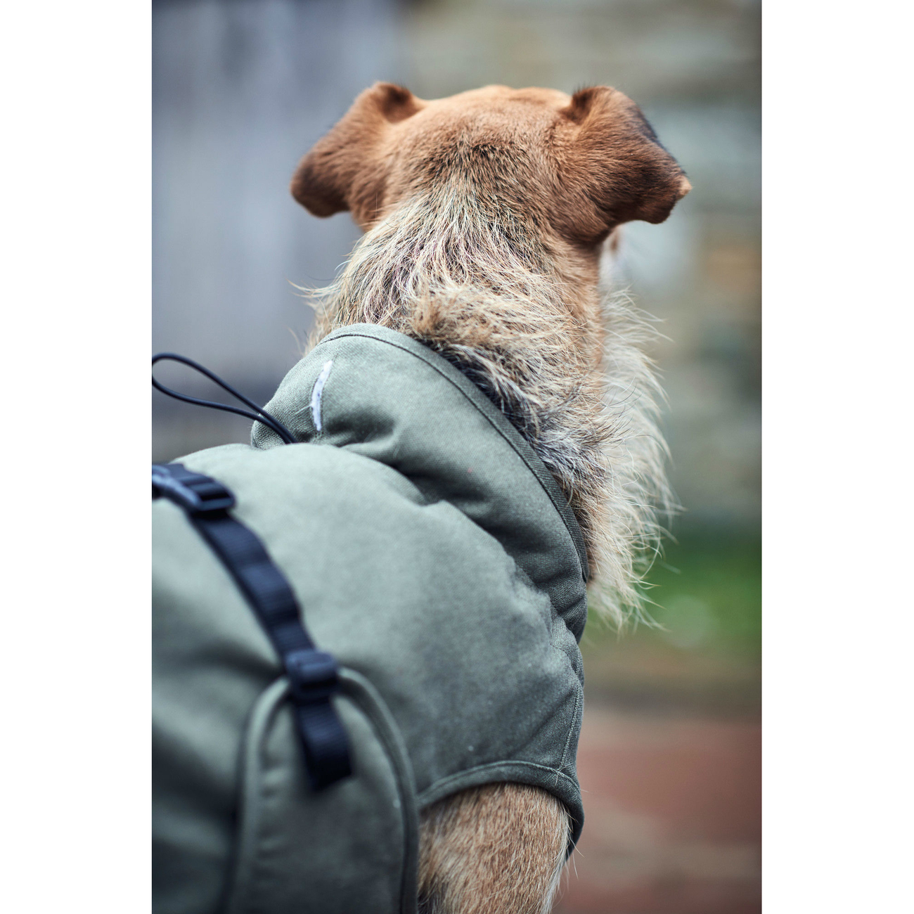 Hunter Hundemantel Uppsala Trend Bild 19