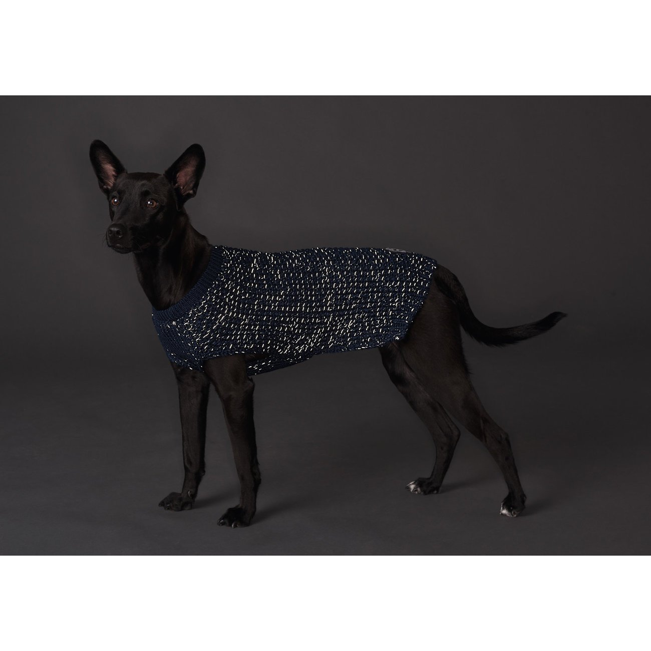 Hunter Hundepullover Finja Bild 3