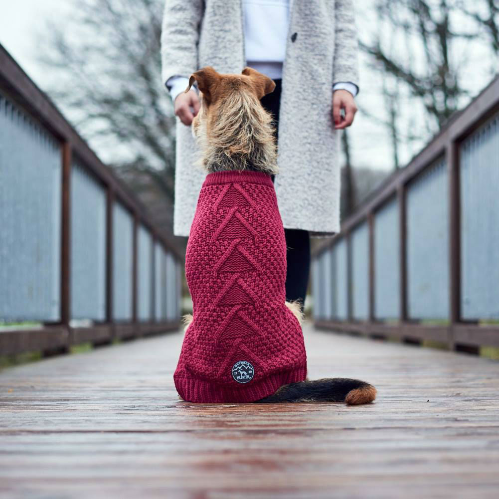 Hunter Hundepullover Malmö Bild 2