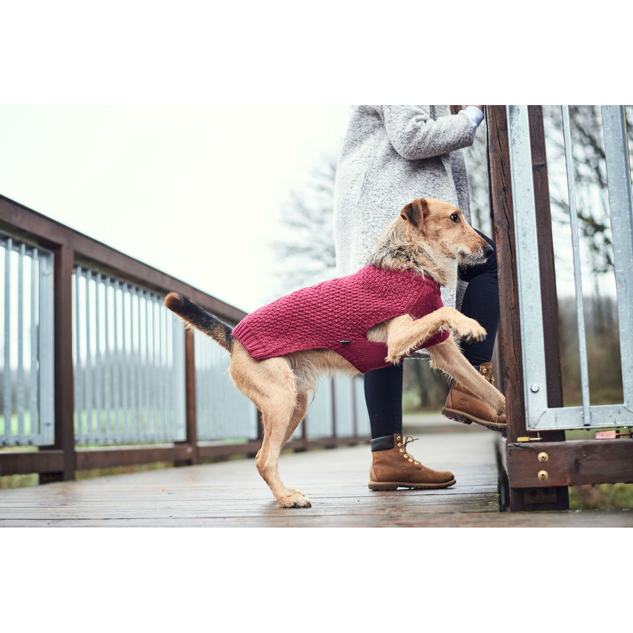 Hunter Hundepullover Malmö Bild 4