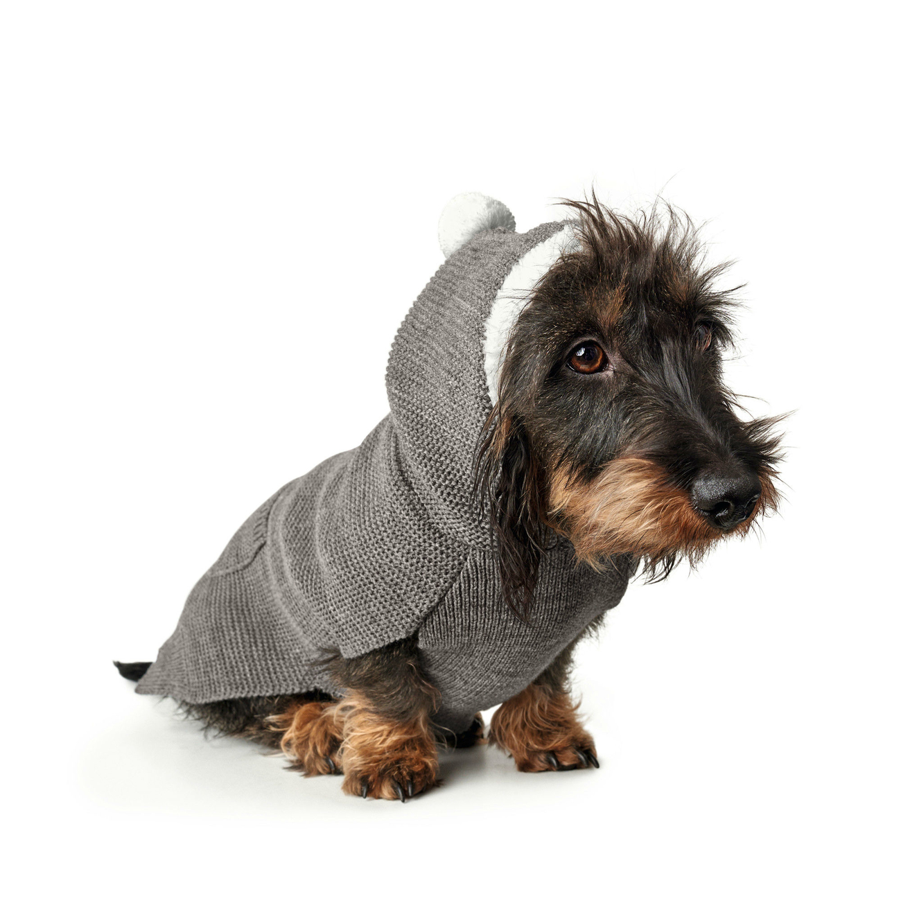 Hunter Hundepullover Rögla Bild 5