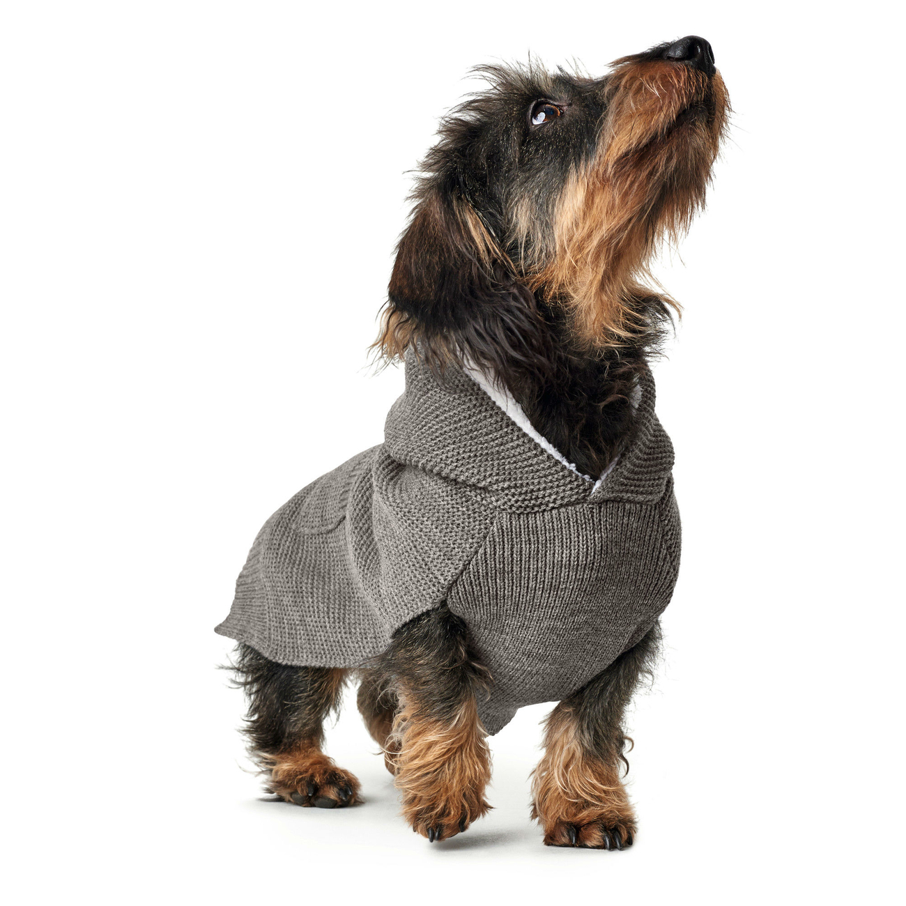 Hunter Hundepullover Rögla Bild 7