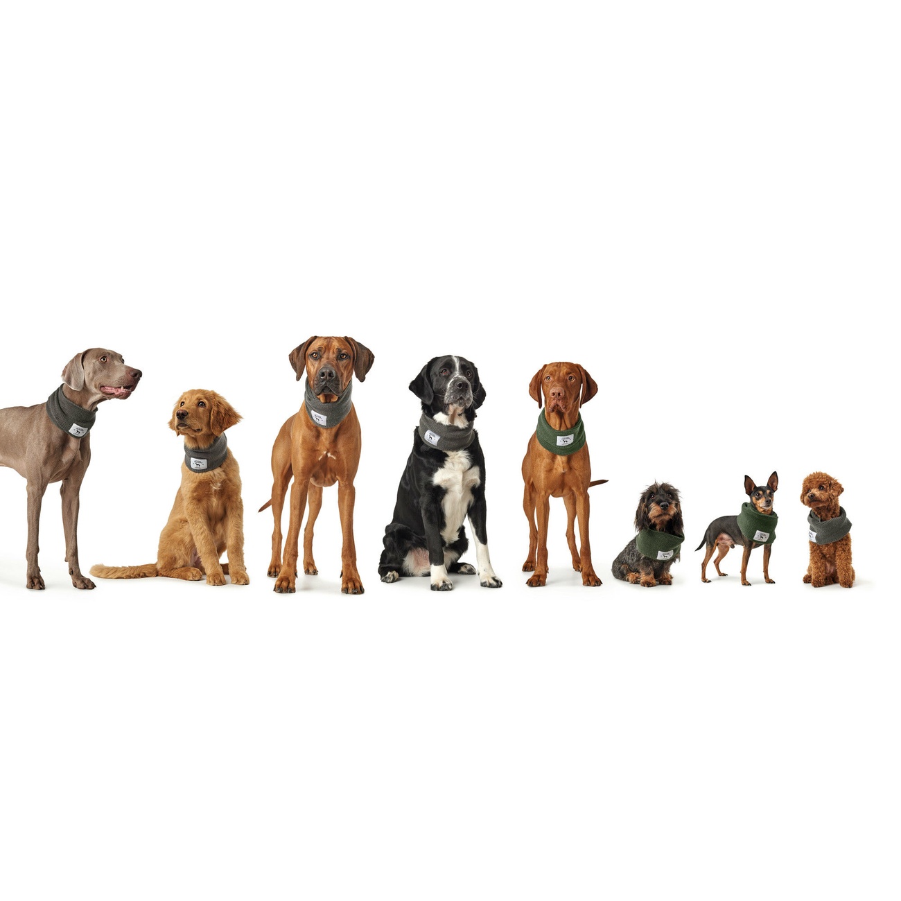 Hunter Hundeschal Nancy Bild 9