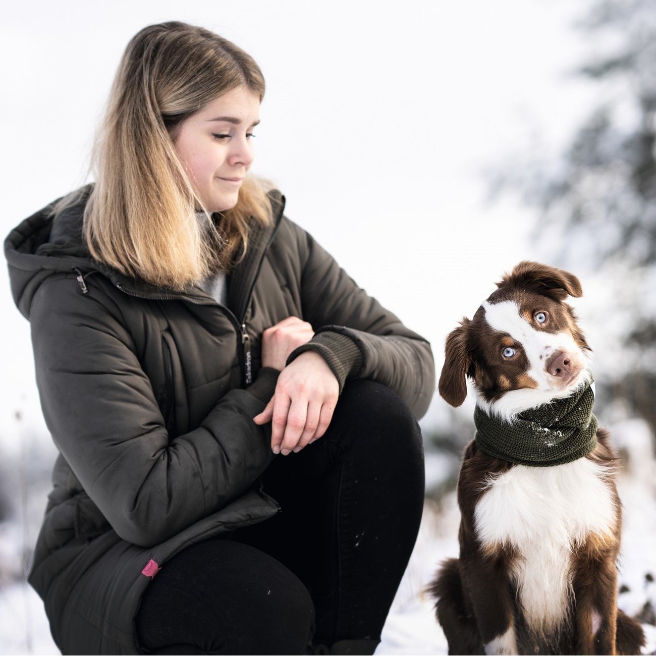 Hunter Hundeschal Nancy Bild 4