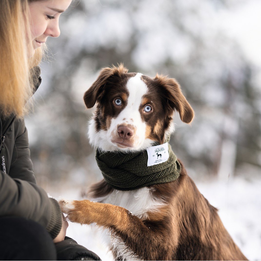 Hunter Hundeschal Nancy Bild 2