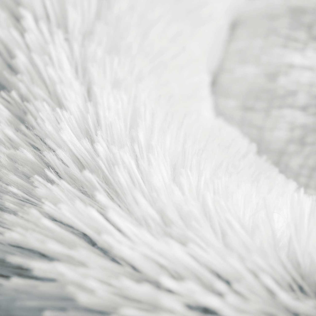 Hundeschlafplatz und Katzenschlafplatz Loppa Bild 6