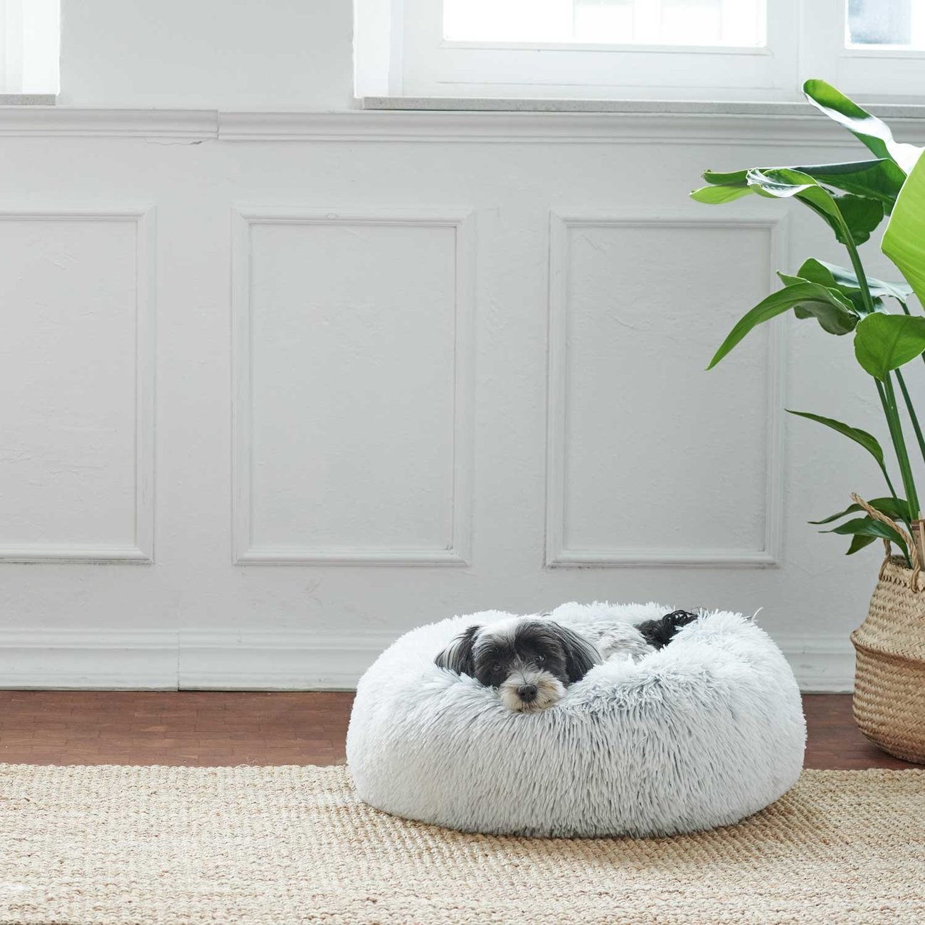 Hundeschlafplatz und Katzenschlafplatz Loppa Bild 3