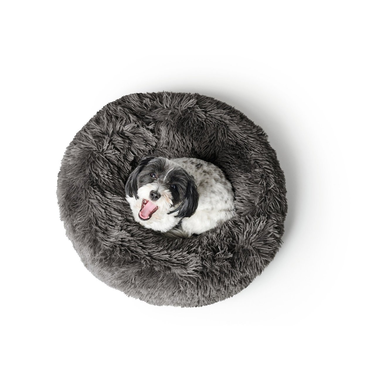 Hundeschlafplatz und Katzenschlafplatz Loppa Bild 13