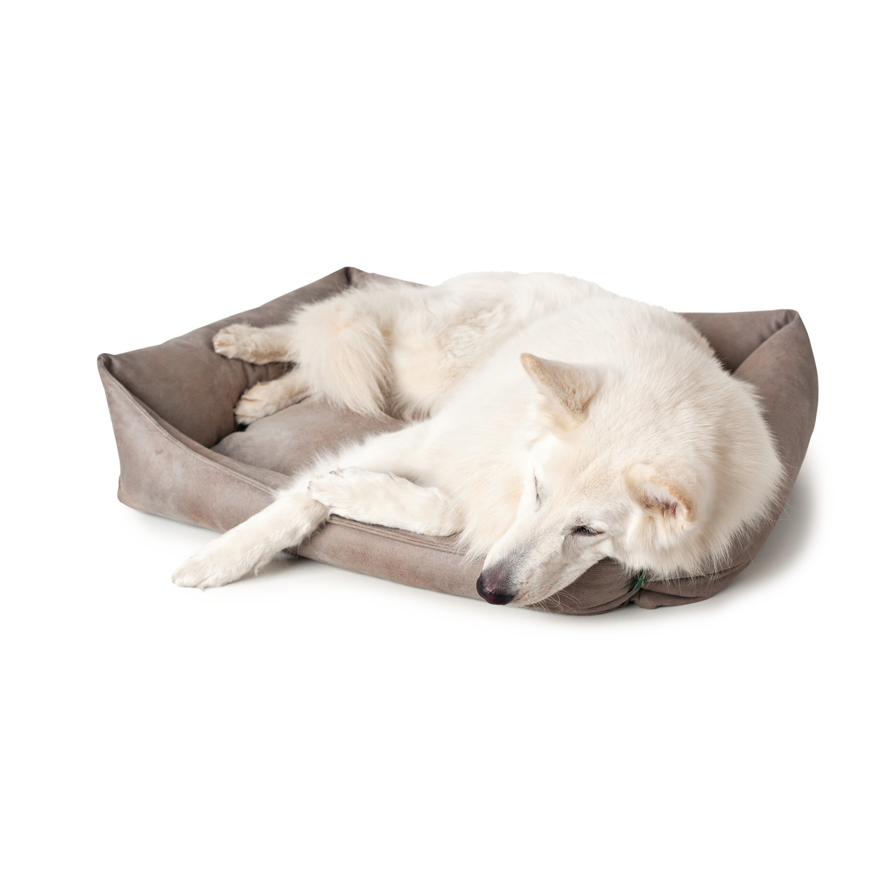 Hunter Hundesofa Bologna Kunstleder Bild 8