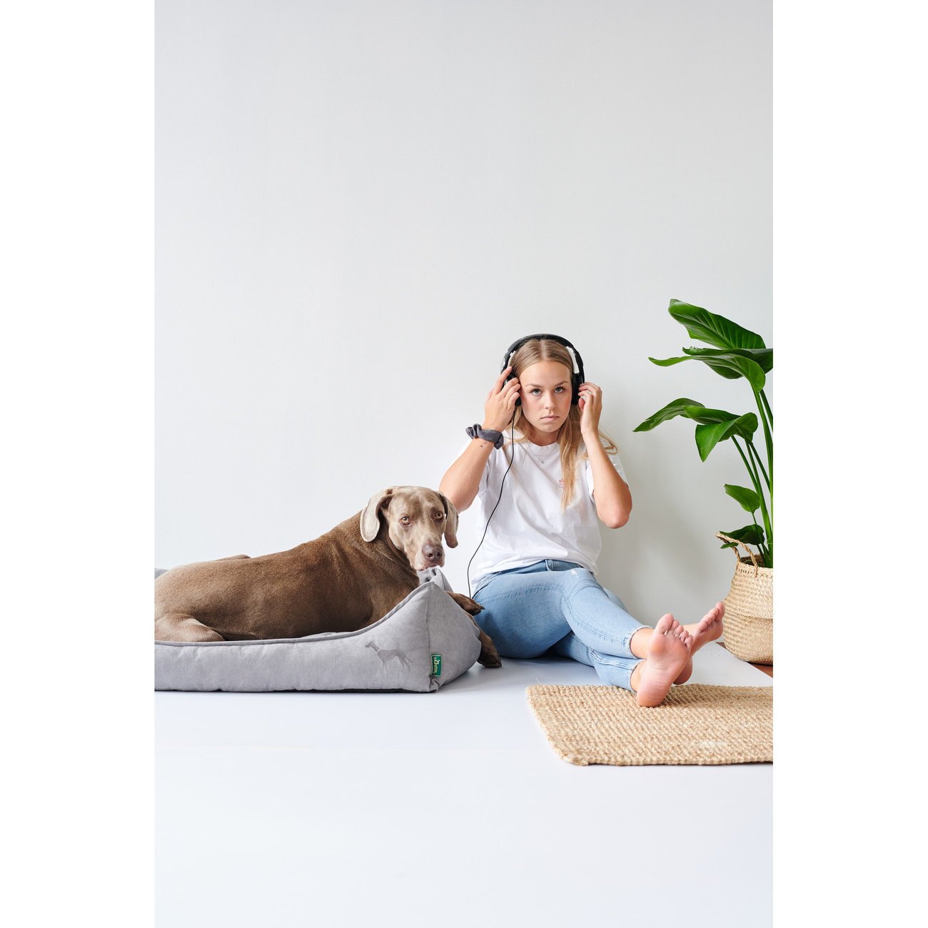 Hundesofa Eiby Bild 9