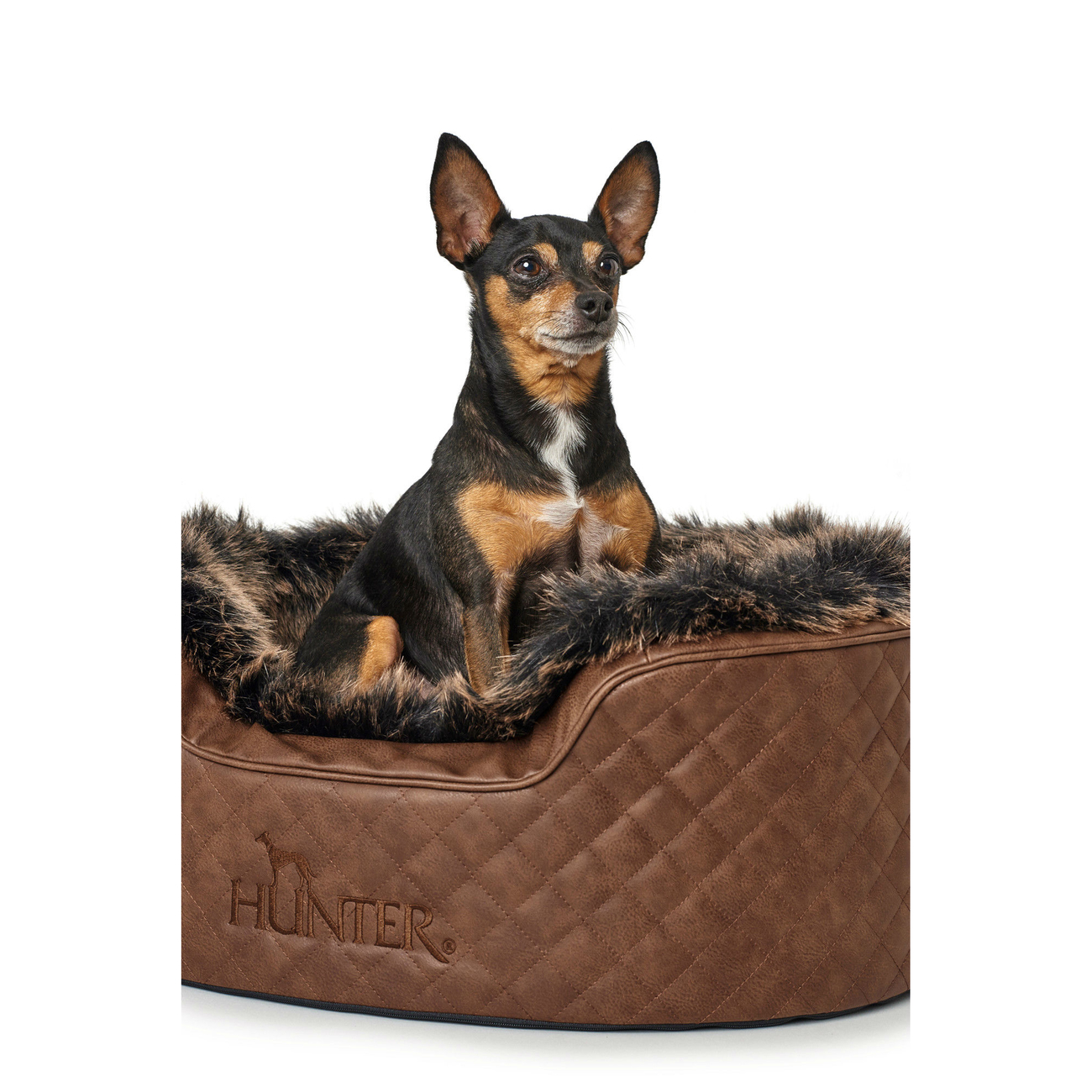 Hunter Hundebett Gotland Bild 8