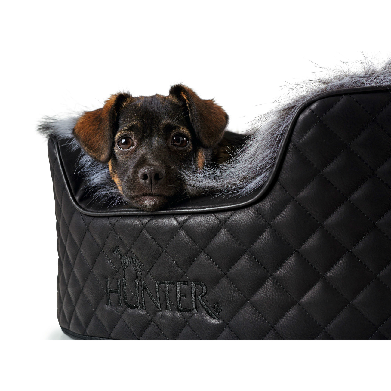 Hunter Hundebett Gotland Bild 10