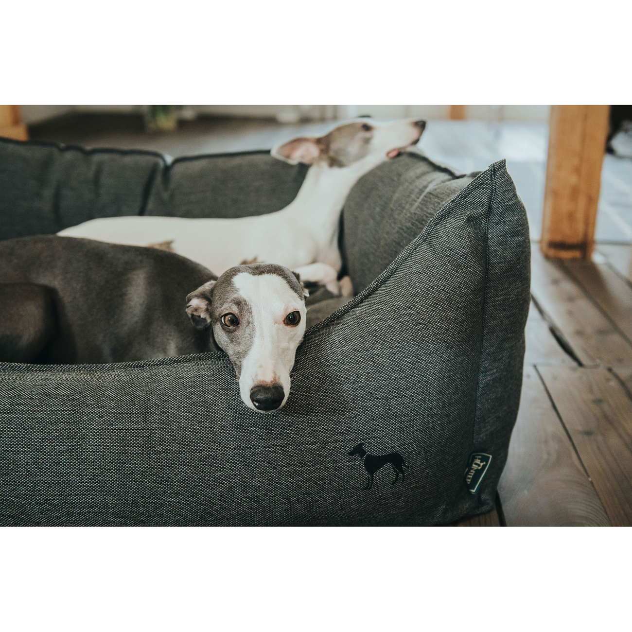 Hunter Hundesofa Livingston Bild 13