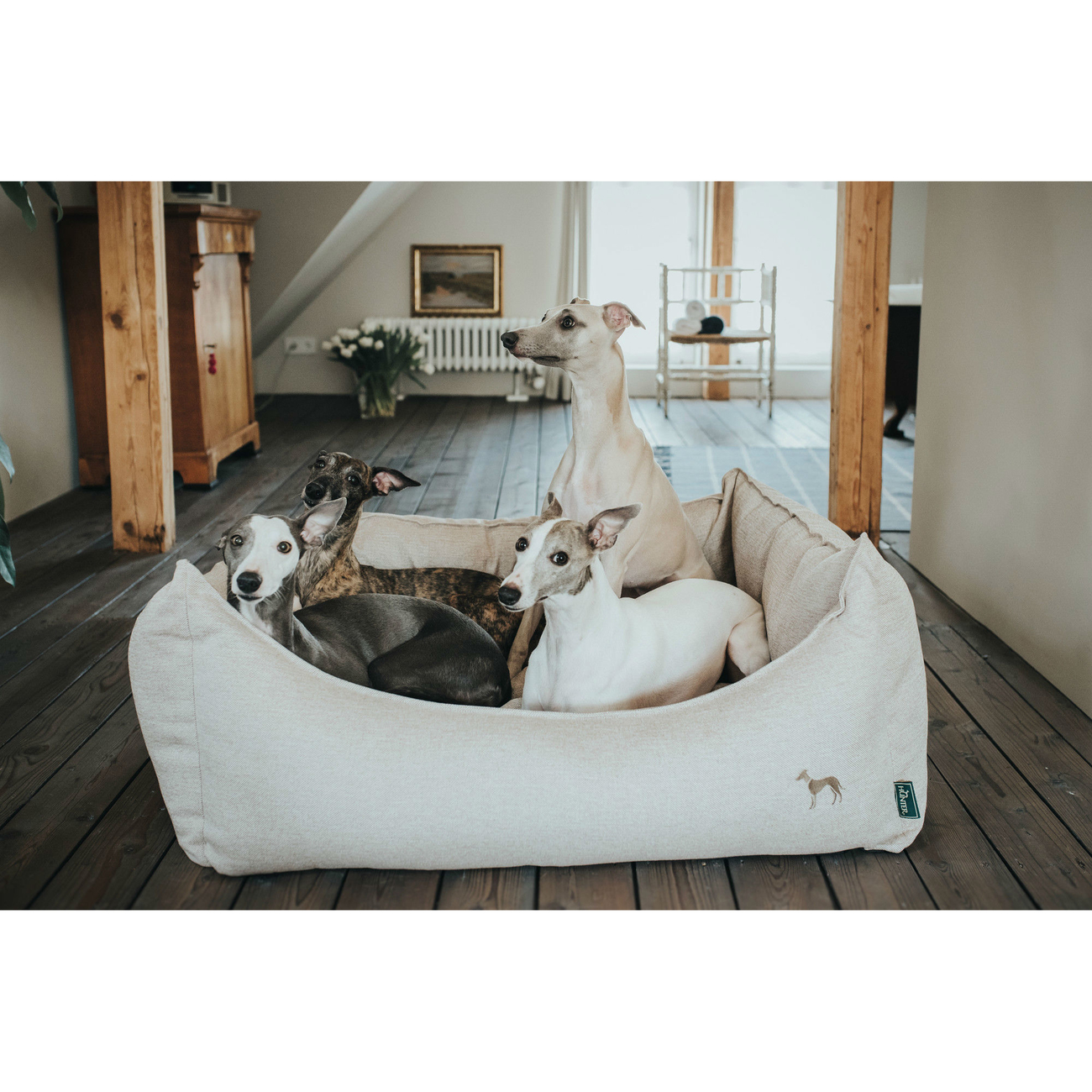 Hunter Hundesofa Livingston Bild 14